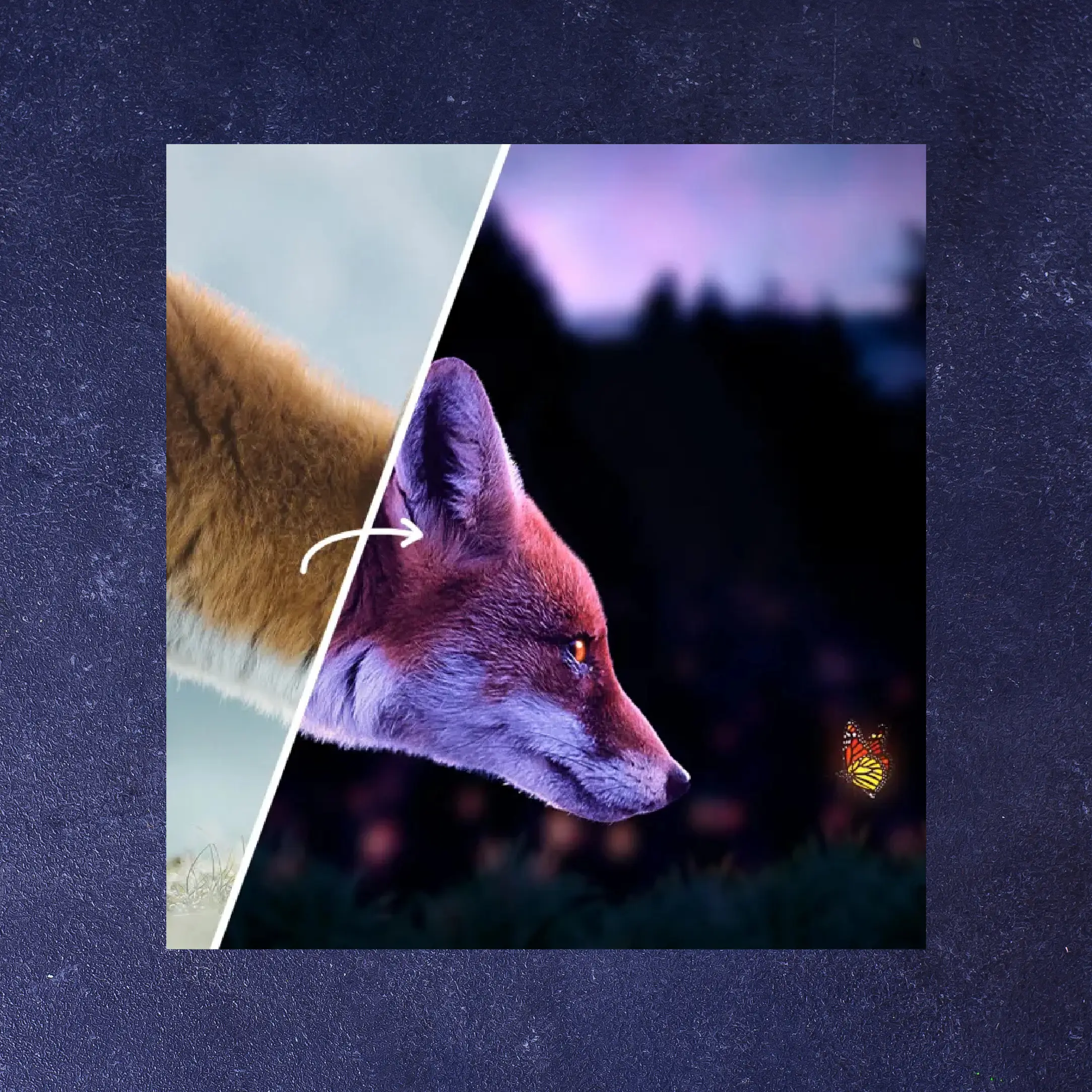 Photomontage